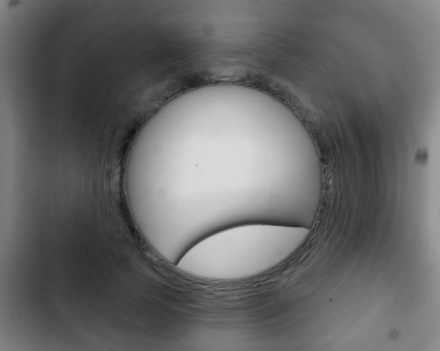 X0000103220745200808280926