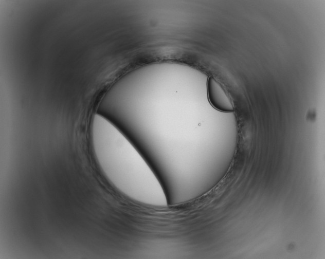 X0000103220746200808280926