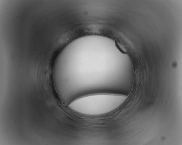 X0000103220747200808280926
