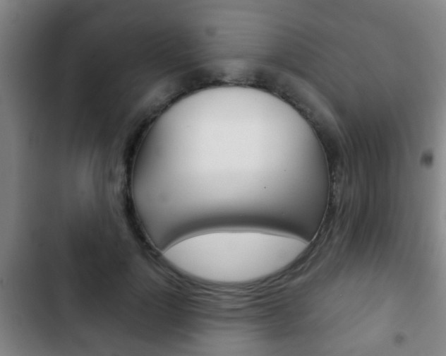 X0000103220748200808280926