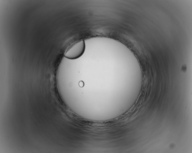 X0000103220749200808280926