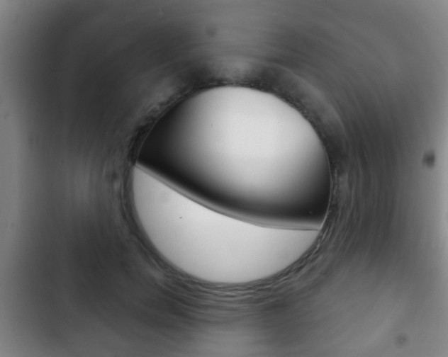 X0000103220750200808280926