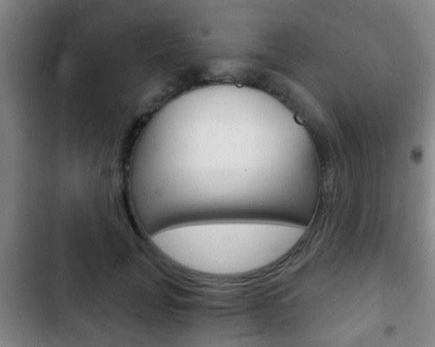 X0000103220751200808280926