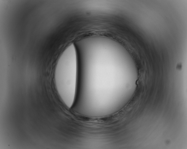 X0000103220752200808280926