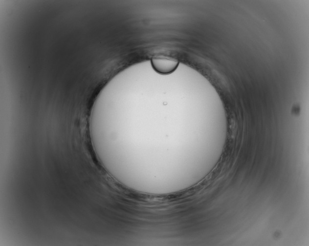 X0000103220753200808280926