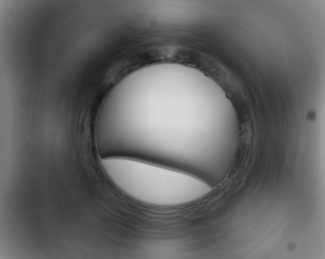 X0000103220754200808280926