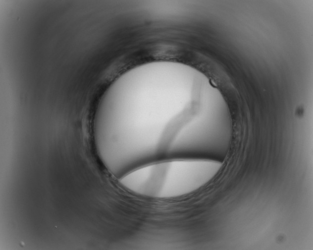 X0000103220755200808280926