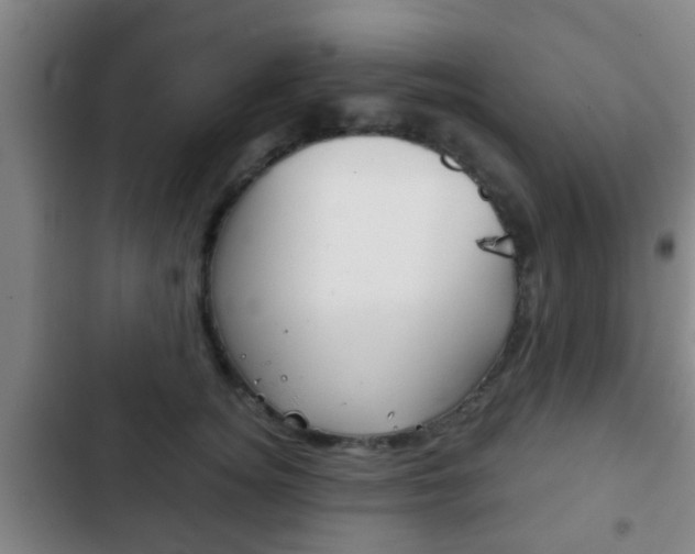 X0000103220756200808280926