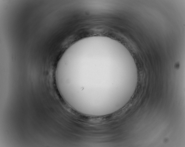 X0000103220757200808280926