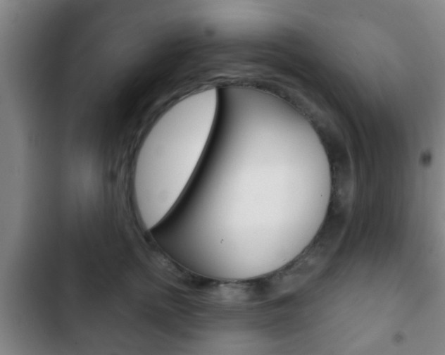 X0000103220758200808280926