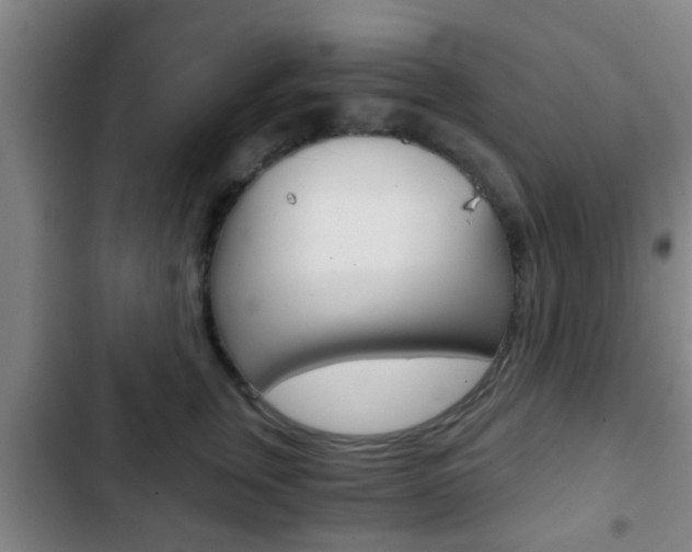 X0000103220759200808280926