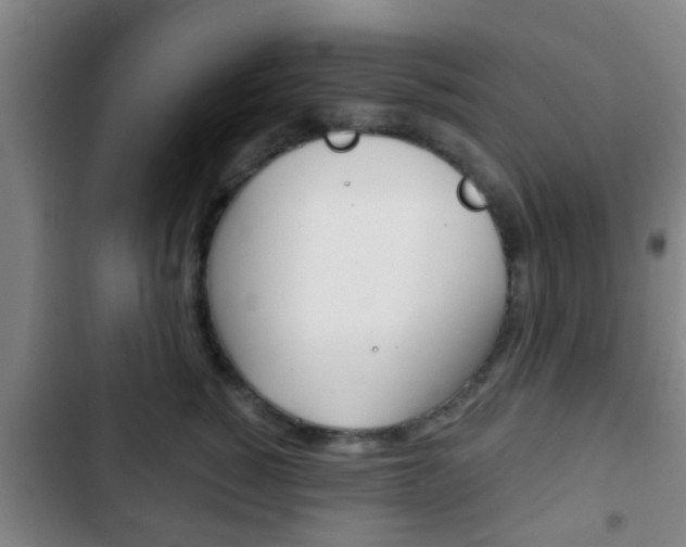 X0000103220760200808280926