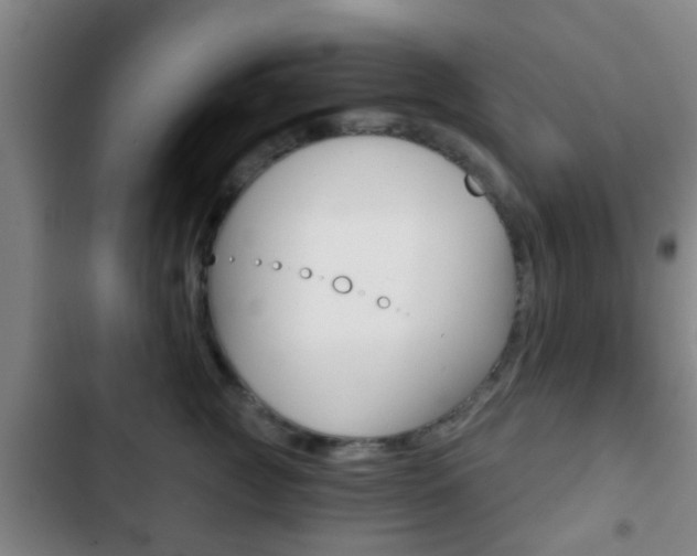 X0000103220761200808280926
