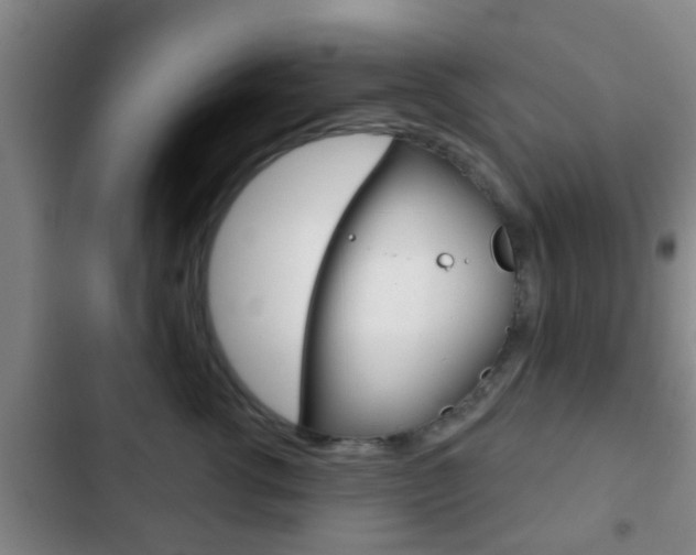 X0000103220762200808280926