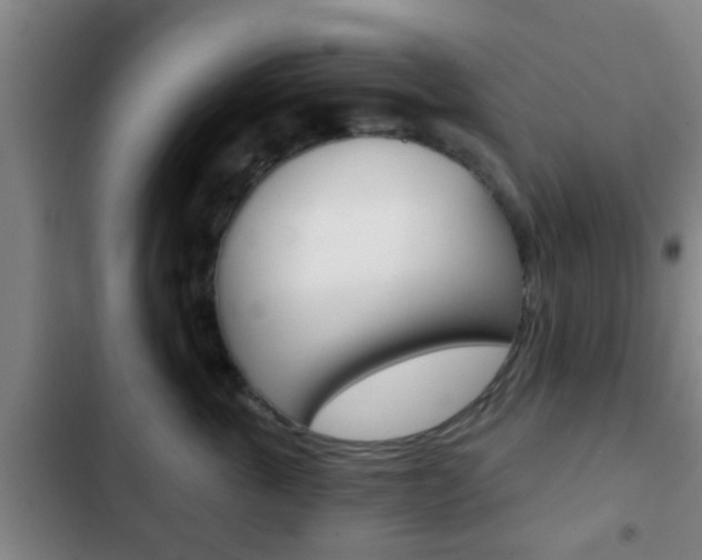 X0000103220763200808280926