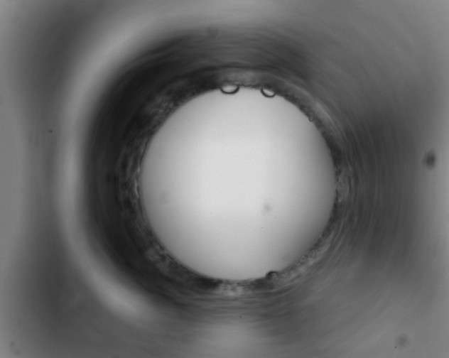 X0000103220764200808280926