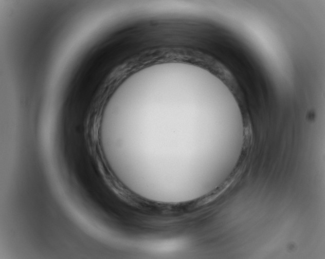 X0000103220765200808280926