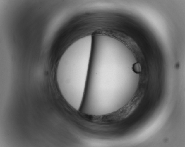 X0000103220766200808280926