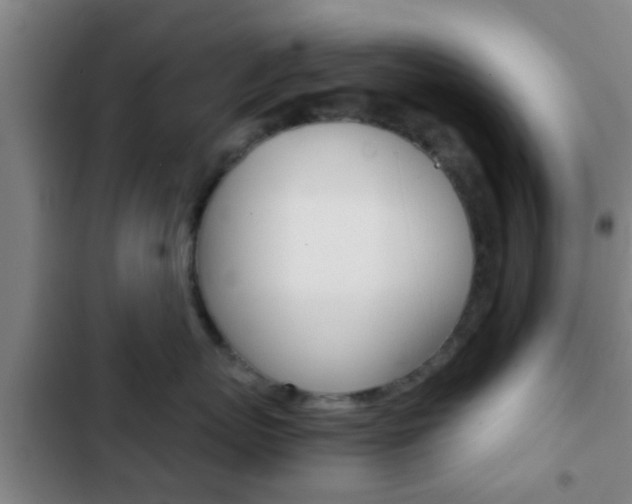 X0000103220767200808280926