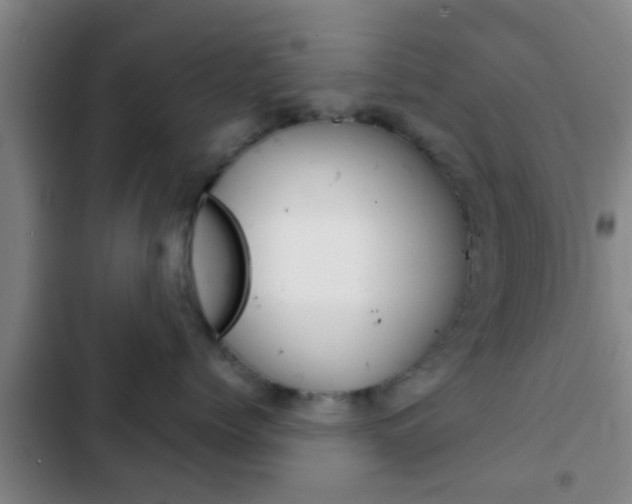 X0000103220768200808280926