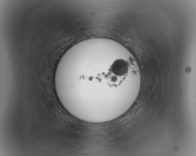 X0000103220769200808280925