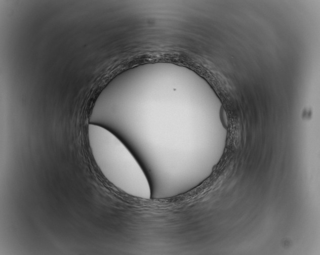 X0000103220770200808280925