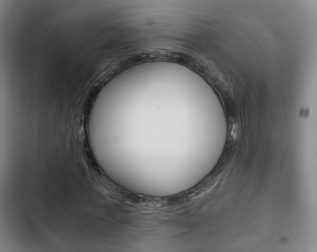 X0000103220771200808280925