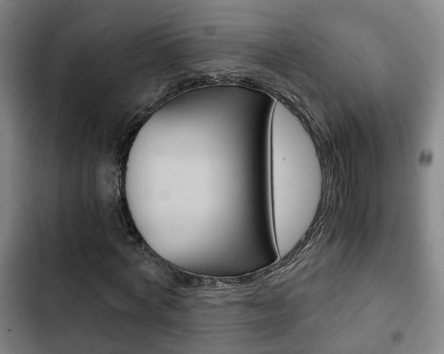 X0000103220772200808280925