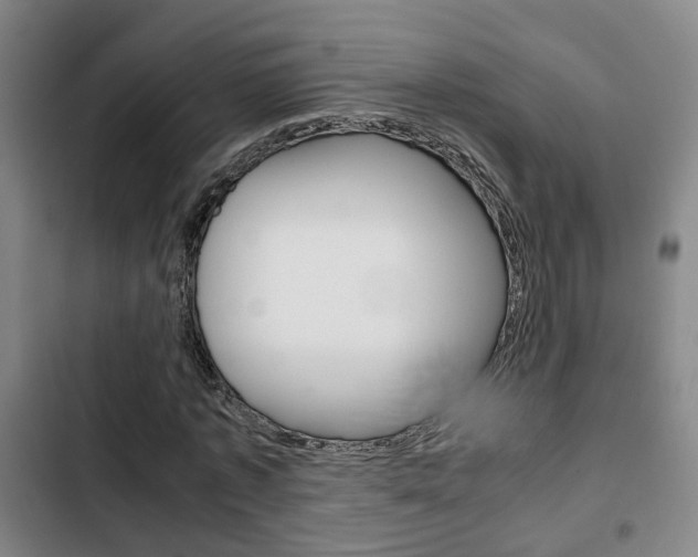 X0000103220773200808280925