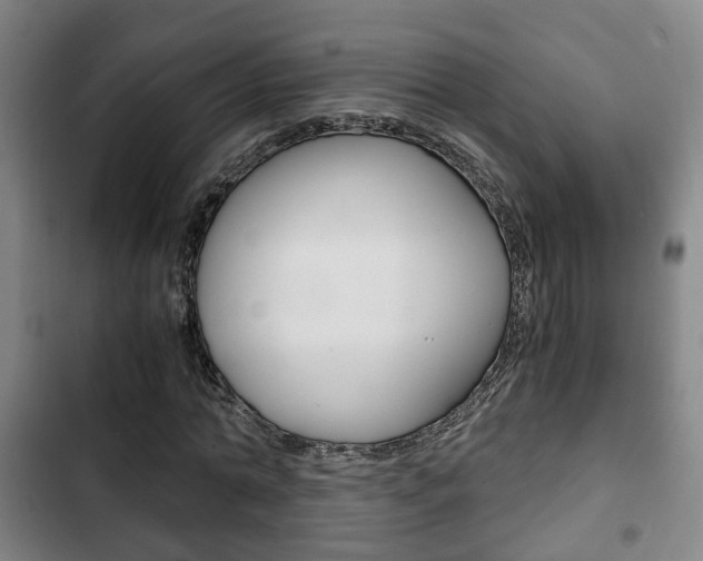 X0000103220774200808280925