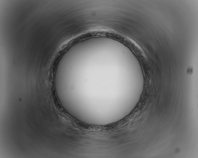 X0000103220775200808280925