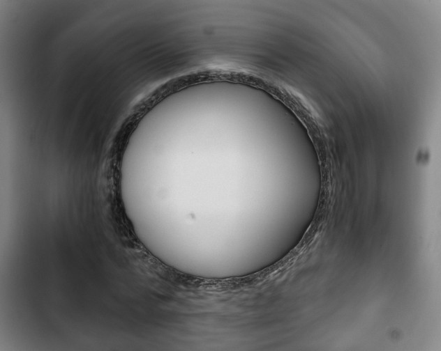 X0000103220776200808280925