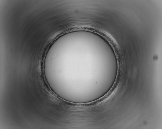 X0000103220777200808280925