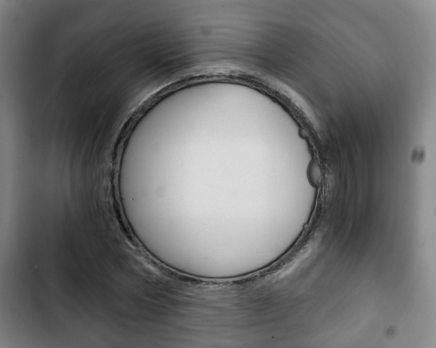 X0000103220778200808280925