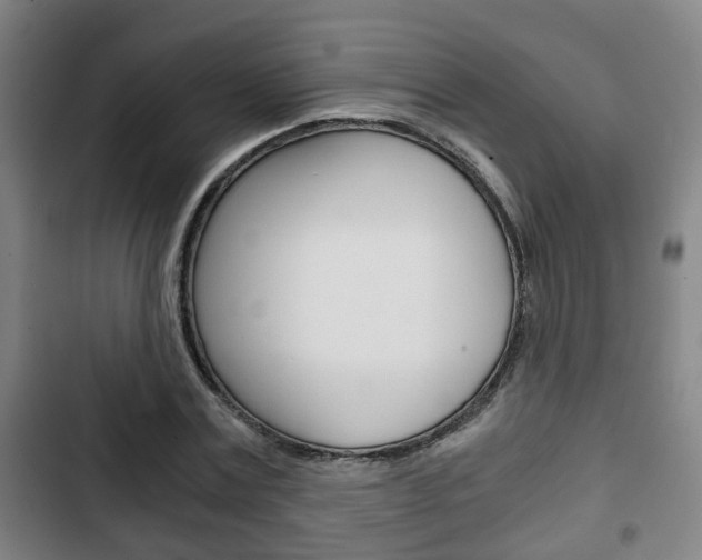 X0000103220779200808280925