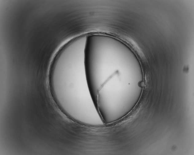 X0000103220780200808280925