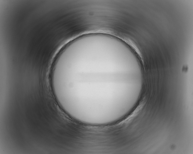X0000103220781200808280925