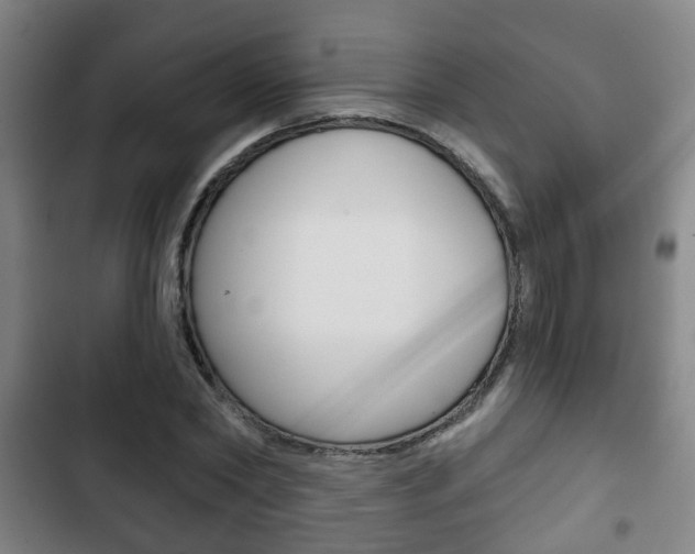 X0000103220782200808280925