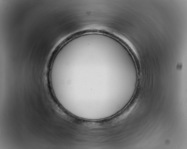 X0000103220783200808280925
