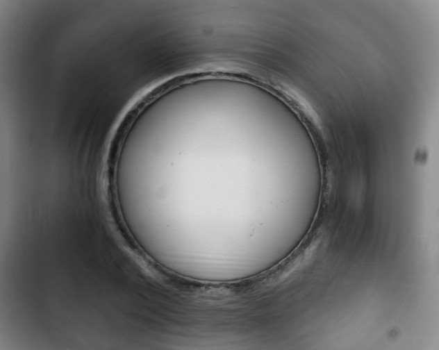 X0000103220784200808280925