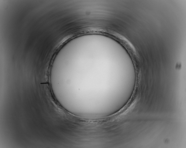 X0000103220785200808280925