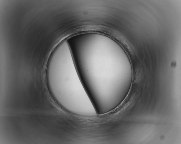 X0000103220786200808280925