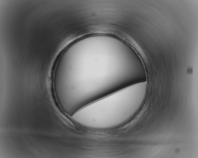 X0000103220787200808280925
