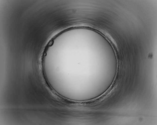 X0000103220789200808280925