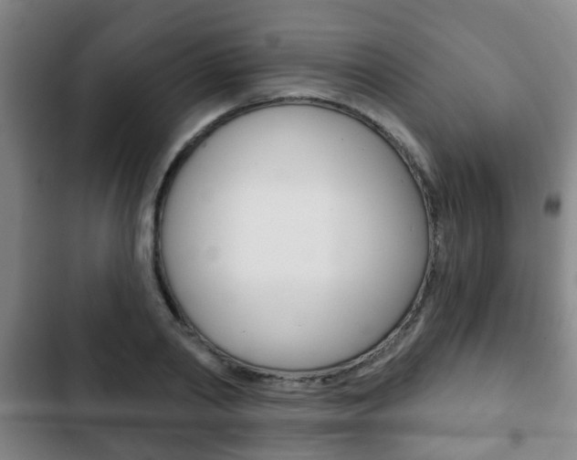 X0000103220790200808280925