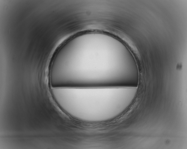 X0000103220791200808280925