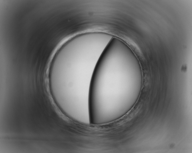 X0000103220792200808280925