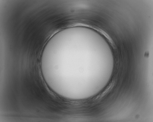 X0000103220793200808280925
