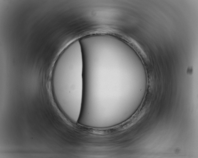 X0000103220794200808280925