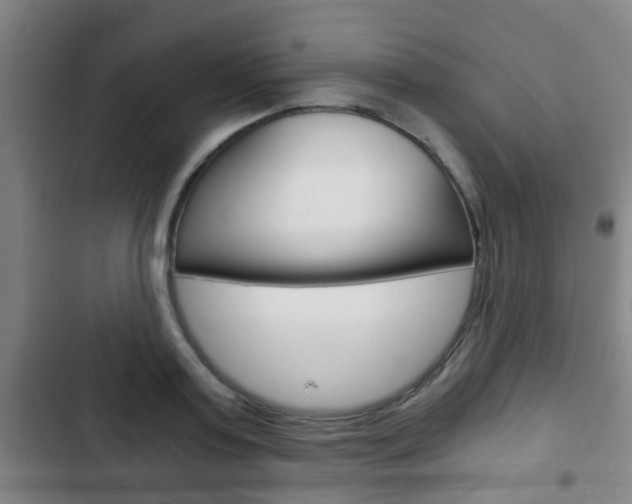 X0000103220795200808280925